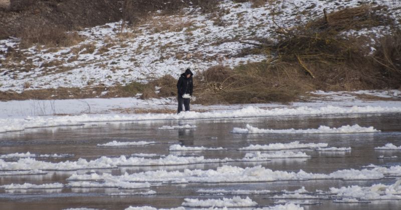 Aizkrauklē bērni pastaigājas pa Daugavas ledu