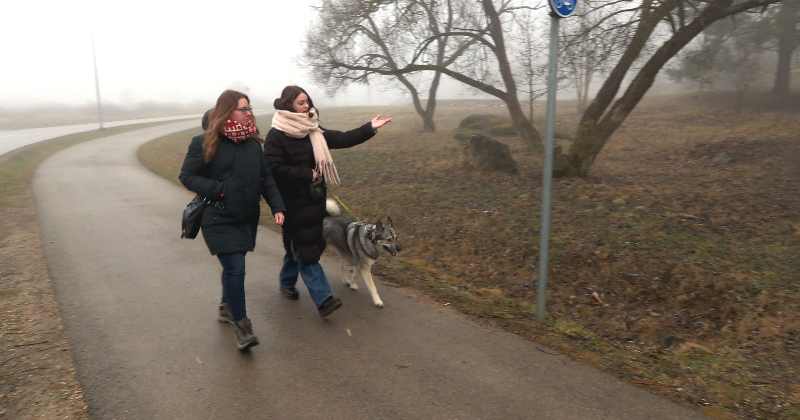 Vai gaidīt, kamēr sakodīs? Jēkabpiliete &scaron;okā par piedzīvoto Mežaparkā