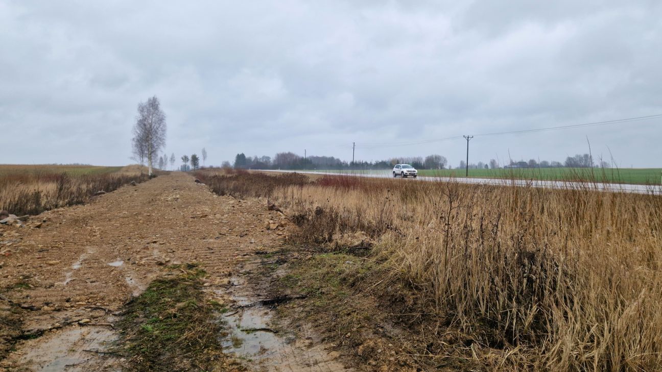 Bez izmeklēšanas noslēdzas lieta par izcirstajiem krūmiem Salas pagastā