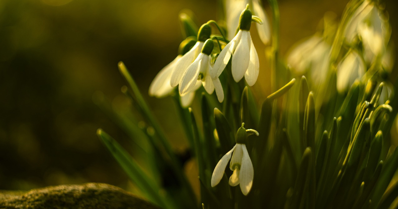 Tuvākās dienas tiks pārspēti daudzi siltuma rekordi