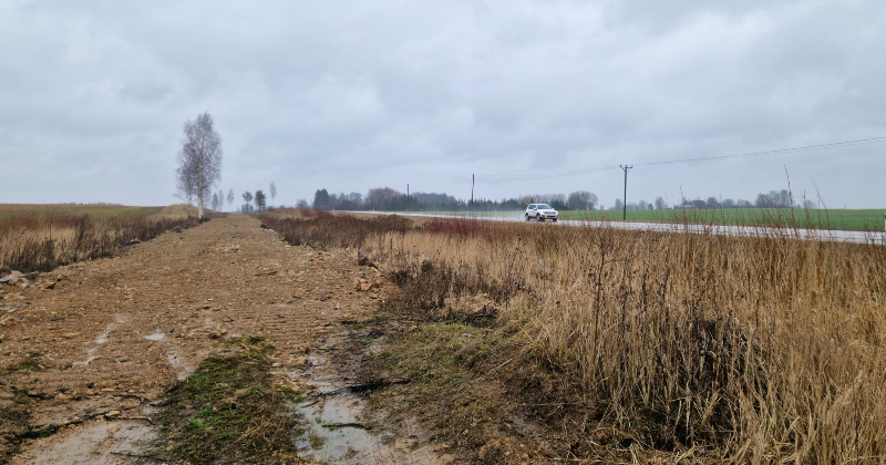 Bez izmeklē&scaron;anas noslēdzas lieta par izcirstajiem krūmiem Salas pagastā