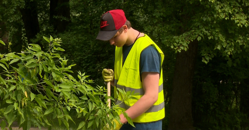 Mazinājusies skolēnu interese par darbu vasaras brīvlaikā