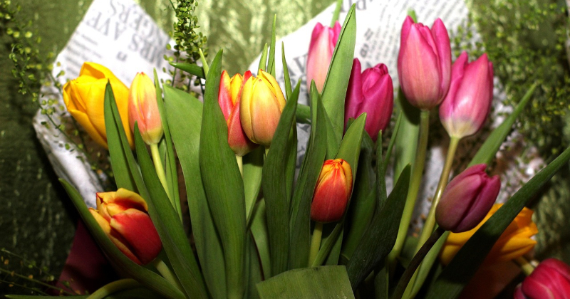 Jēkabpilietes atklāj, kas viņām liek justies īpa&scaron;ām un sievi&scaron;ķīgām