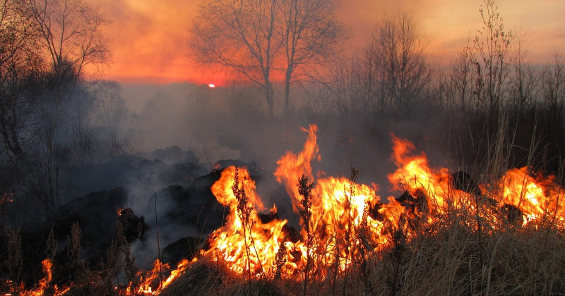 Jēkabpilī fiksēts pirmais kūlas ugunsgrēks 