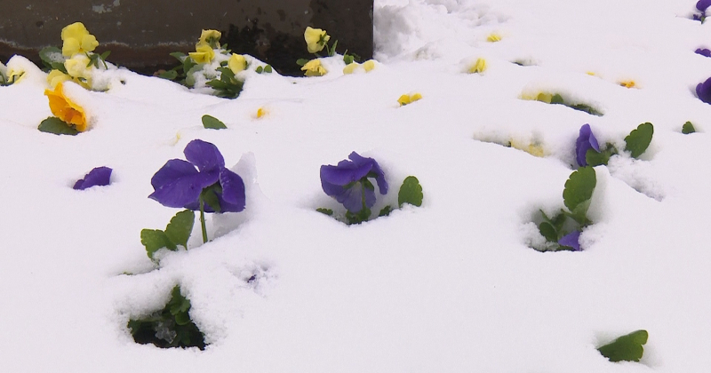 Tuvākajās dienās gaidāms sniegputenis