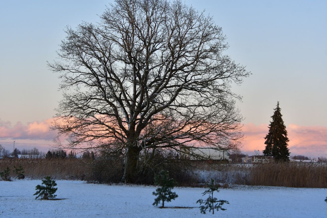 Valsts austrumos sals vietām pastiprinājies līdz desmit grādiem, Jēkabpilī -  mīnus 8,7 grādi