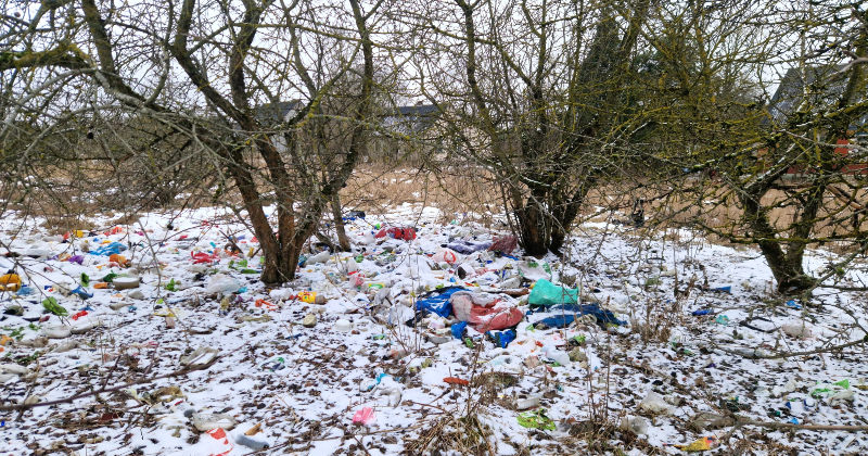 Tauta ziņo: Jēkabpilī nepiecie&scaron;ama Cūkmena palīdzība