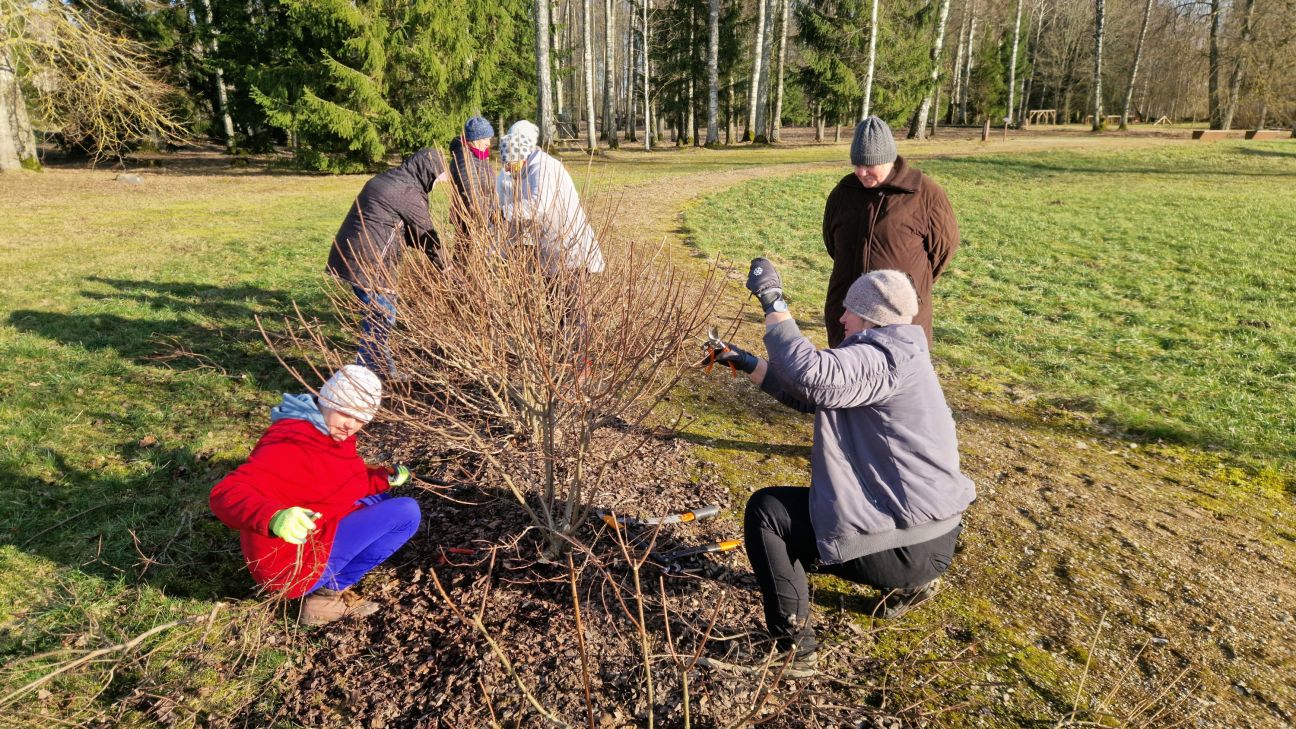 Daiļdārzniecības noslēpumi atdzīvina Aleksandra Grīna parku