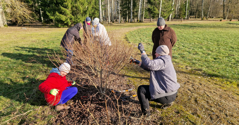 Daiļdārzniecības noslēpumi atdzīvina Aleksandra Grīna parku