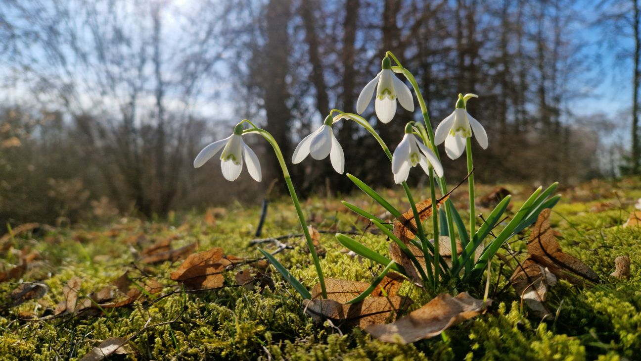 Jēkabpilī marts bijis nokrišņiem bagātākais Latvijā