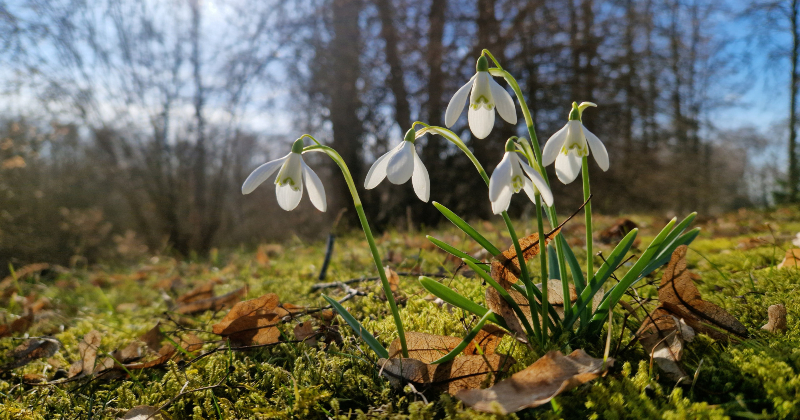 Jēkabpilī marts bijis nokri&scaron;ņiem bagātākais Latvijā