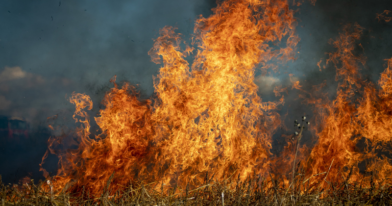 Brīvdienās izdegusi liela platība kūlas