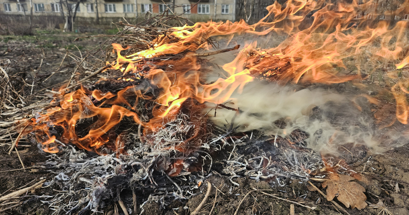 Kūlas ugunsgrēki turpina izplatīties &ndash; Līvānos liesmas skar vairākas teritorijas