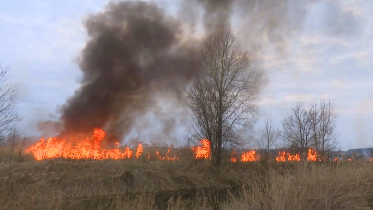 Jēkabpils un Aizkraukles novadā – pieci kūlas ugunsgrēki