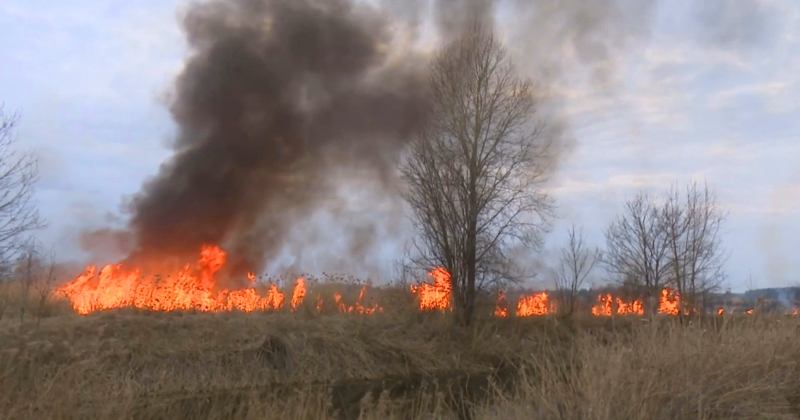 Jēkabpils un Aizkraukles novadā &ndash; pieci kūlas ugunsgrēki