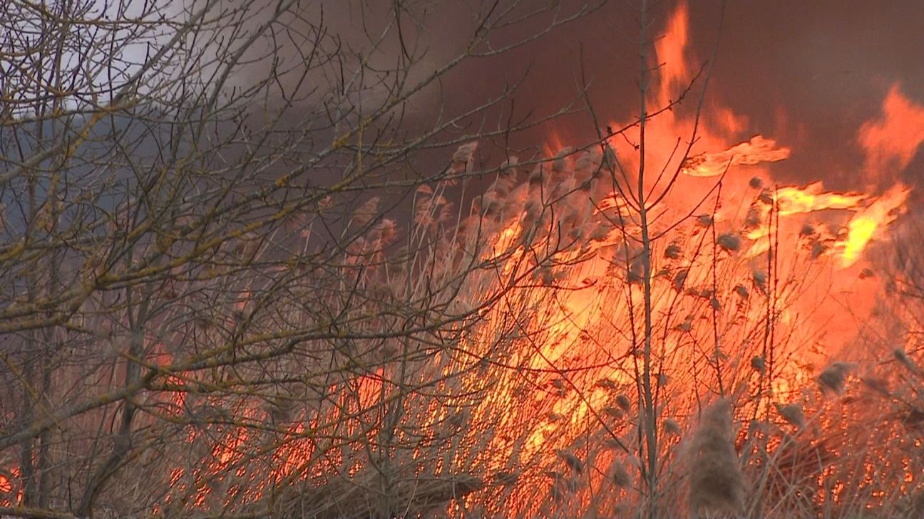 Jēkabpilī un Līvānos dzēsti vairāki kūlas ugunsgrēki