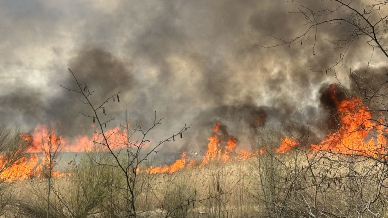 Jēkabpilī izceļas plašs kūlas ugunsgrēks