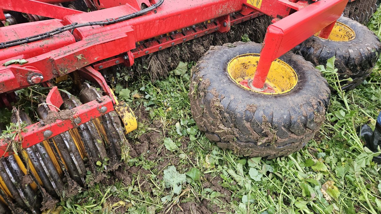 Lauksaimnieki var pieteikties platību maksājumiem