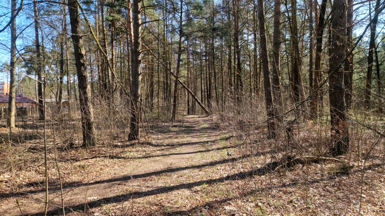 Iedzīvotāji nevēlas zaudēt meža teritoriju Jēkabpilī