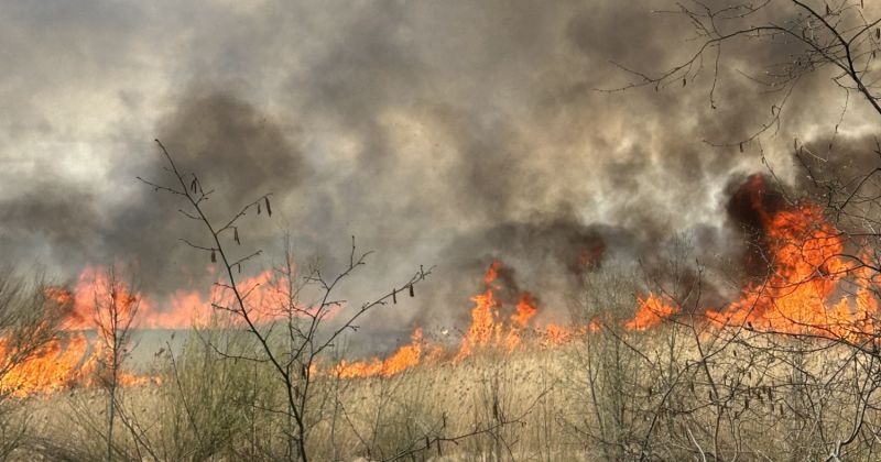 Jēkabpilī izceļas pla&scaron;s kūlas ugunsgrēks