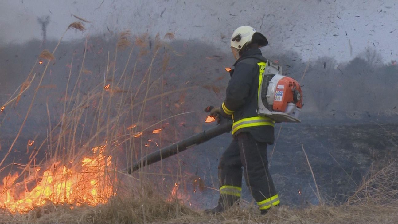 Lieldienu brīvdienās Jēkabpils novadā dzēsti pieci kūlas ugunsgrēki