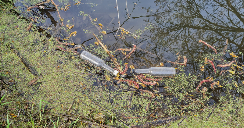 &ldquo;Kas tas ir?&rdquo; &ndash; Jēkabpils ielās sastaptie iedzīvotāji par Lielo talku