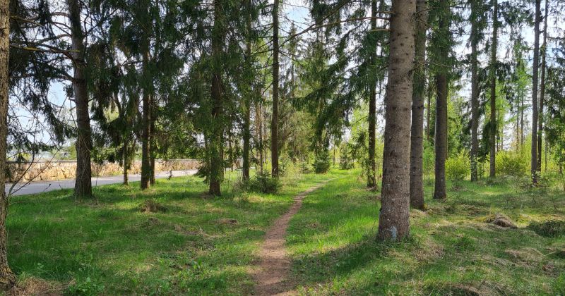 Jēkabpils Mežaparkā atvērta &ldquo;Zaļā klase&rdquo;