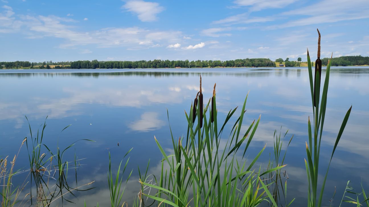 Makšķerēšanas sacensību dēļ aizliedz makšķerēt Baļotes ezerā