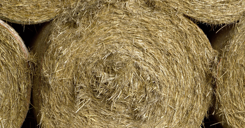 Sutru pagastā dzēsts ugunsgrēks &scaron;ķūnī