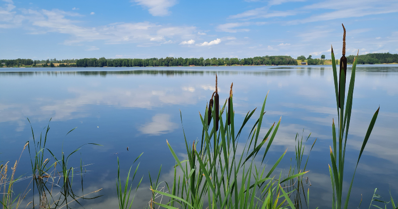 Mak&scaron;ķerē&scaron;anas sacensību dēļ aizliedz mak&scaron;ķerēt Baļotes ezerā
