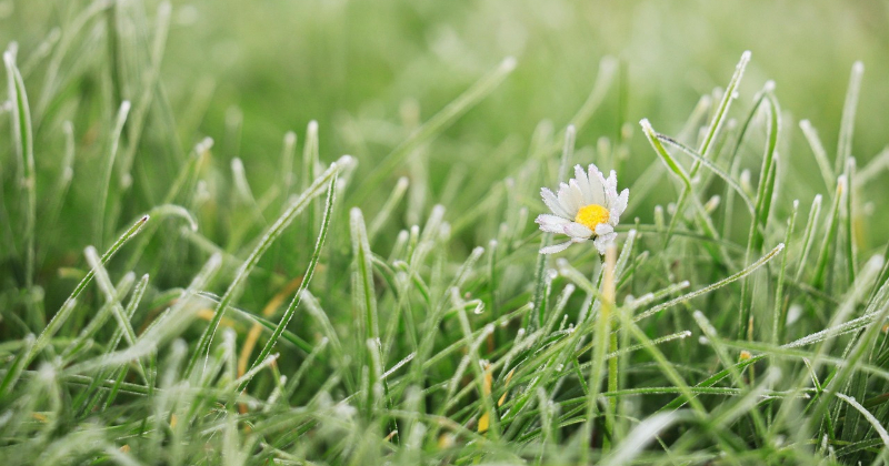 Latvijā reģistrēts pirmais aukstuma vilnis kop&scaron; 2023.gada