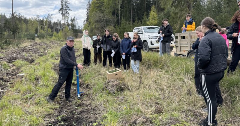 Jēkabpils skolēni Kūku pagastā stāda mežu 