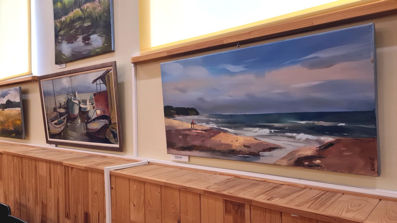 Māksliniece Ligita Caune popularizē Sēliju