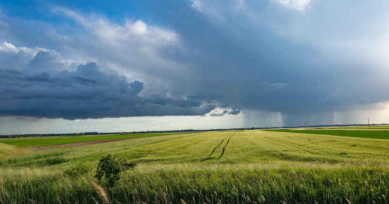 Līvānu pusē notiks lauka apseko&scaron;ana topogrāfisko kar&scaron;u sagatavo&scaron;anai 