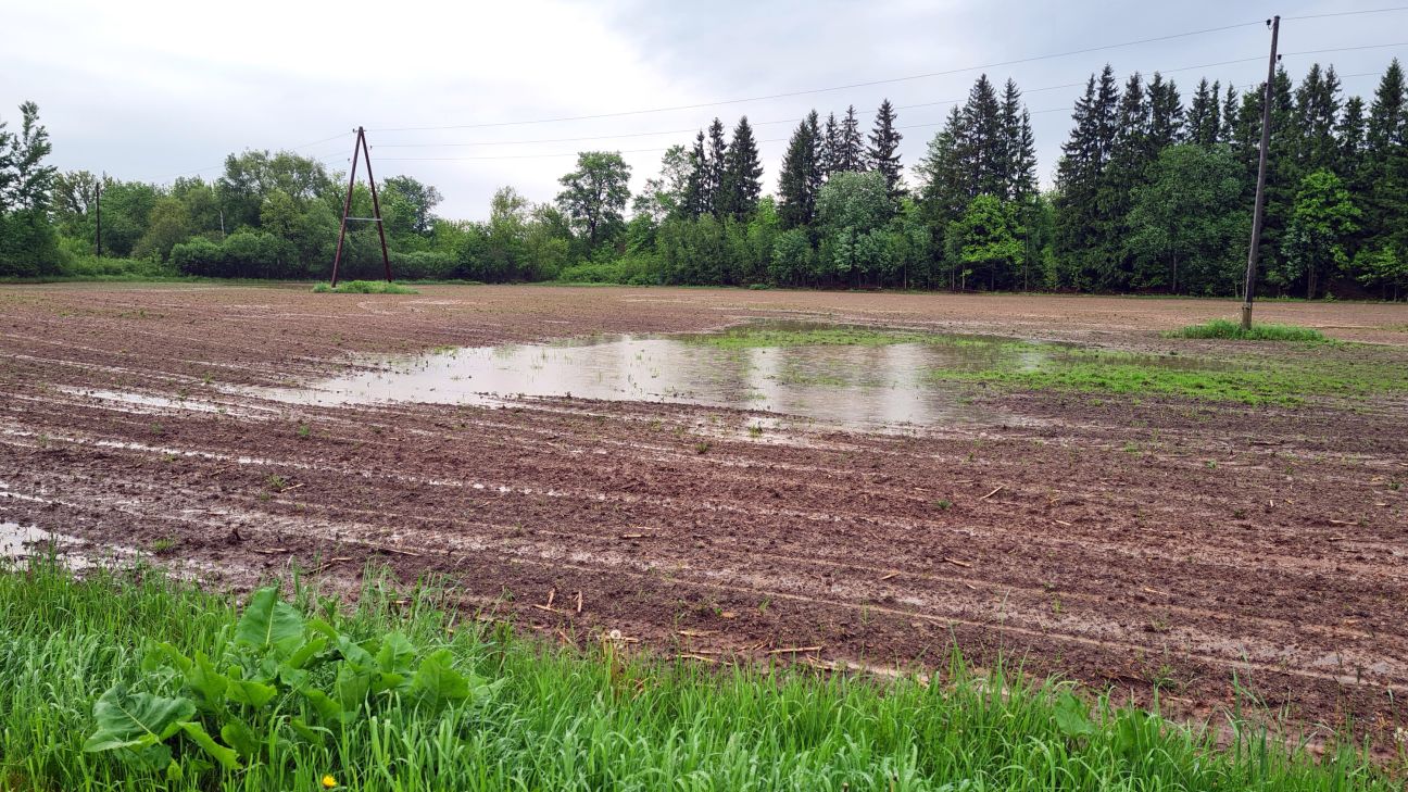 Lauksaimnieki ceļ trauksmi: applūduši daudzi sējumi