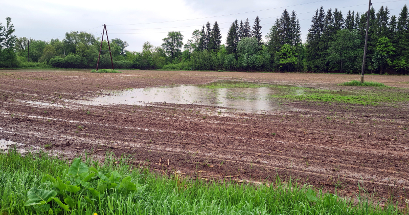 Lauksaimnieki ceļ trauksmi: applūdu&scaron;i daudzi sējumi
