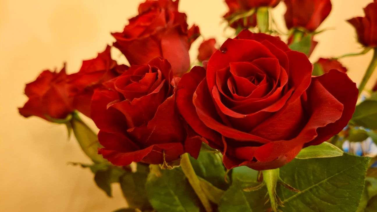 Sācies 9. un 12. klašu izlaidumu laiks Jēkabpils novadā