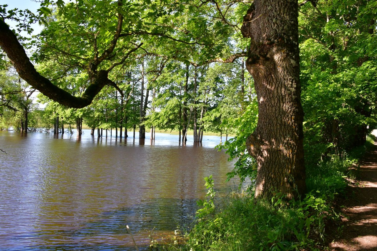Stiprās lietavas nodarījušas postījumus Atašienes pagastā 