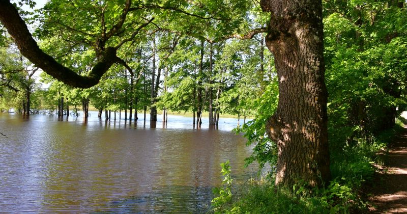 Stiprās lietavas nodarīju&scaron;as postījumus Ata&scaron;ienes pagastā 