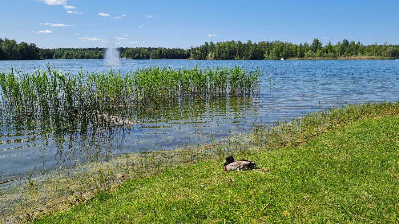 Radžu ūdenskrātuves peldvietā ūdens kvalitāte atbilst prasībām – peldēties ir droši