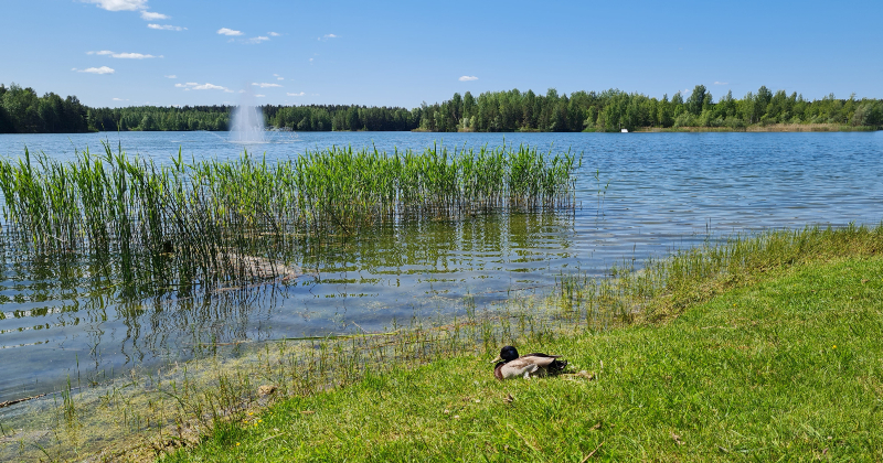 Radžu ūdenskrātuves peldvietā ūdens kvalitāte atbilst prasībām &ndash; peldēties ir dro&scaron;i