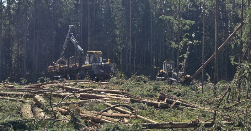 SIA "Jubergs" pērn reģistrētie zaudējumi pārsniedz 620 tūksto&scaron;us eiro