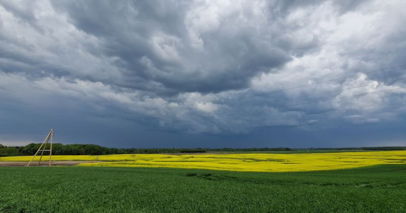 Jēkabpilī iestājusies meteoroloģiskā vasara, citviet Latvijā vēl gaida 