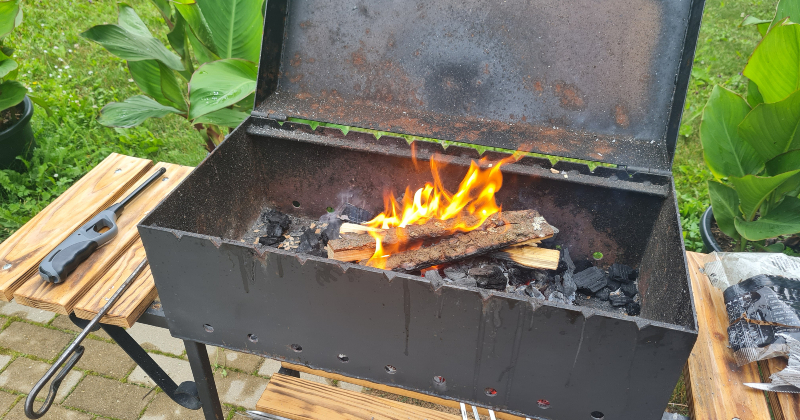 Veselība svētku laikā  &ndash; ārsta un farmaceita ieteikumi pirms Jāņiem