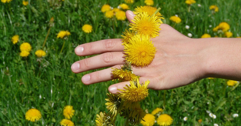 Priecīgus Līgo un lustīgus Jāņus!