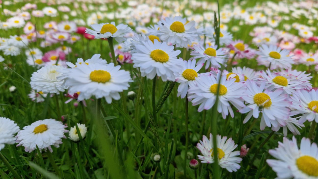 Jūnija beigas un jūlija sākums būs ar mainīgiem laikapstākļiem