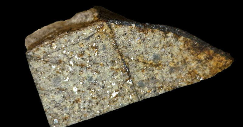 Dabas muzejs "Ebay" iegādājies 1863.gadā Jēkabpils novadā nokritu&scaron;a meteorīta fragmentu