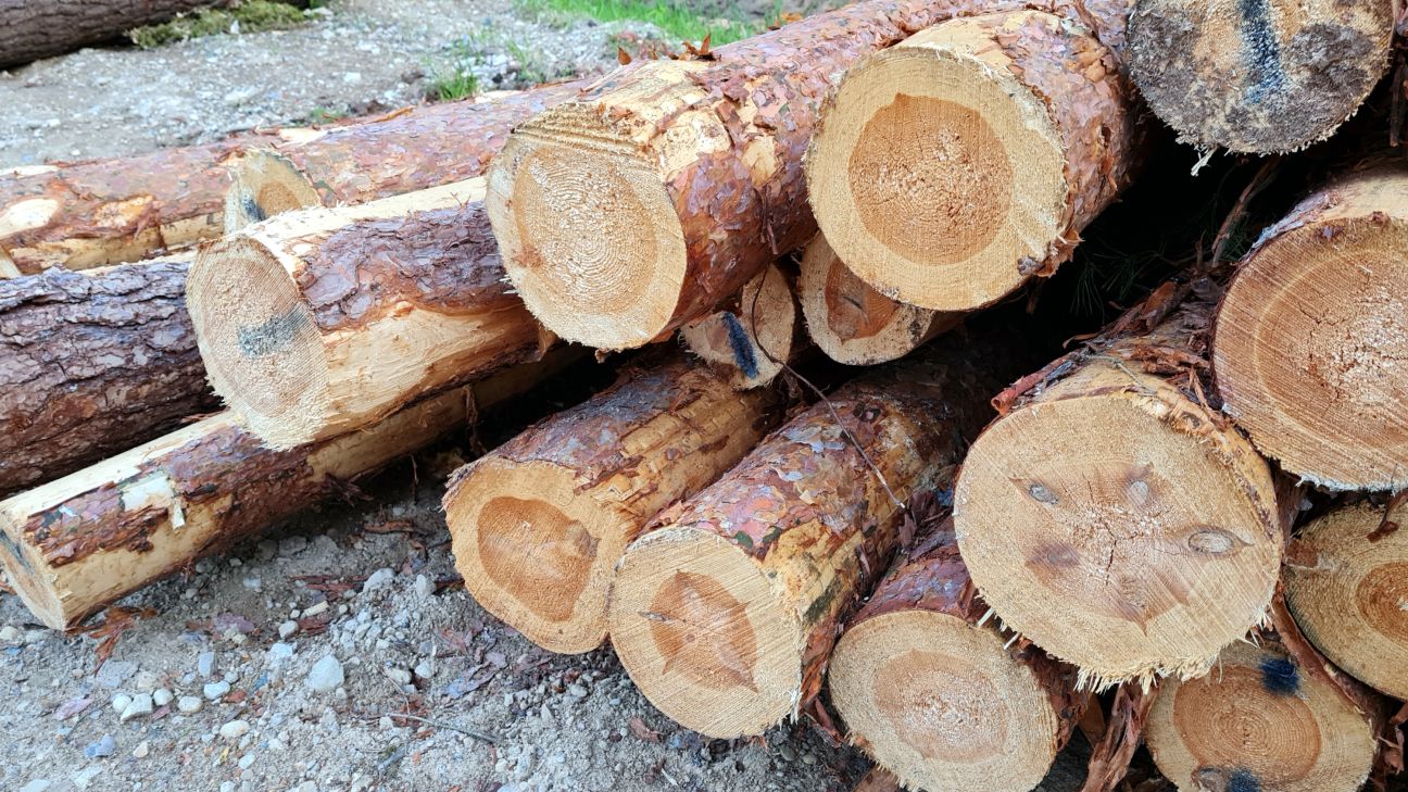 Uz autoceļa Krustpils pagastā apgāžas piekabe ar baļķiem