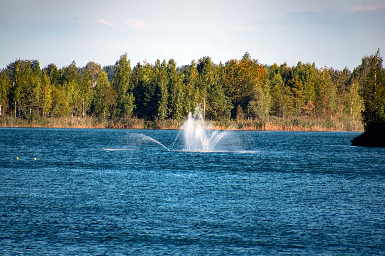 Radžu ūdenskrātuvē konstatē mirušus ķīrus
