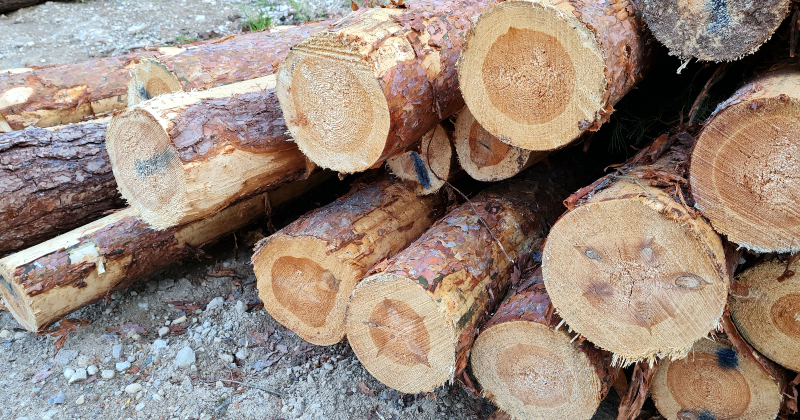 Uz autoceļa Krustpils pagastā apgāžas piekabe ar baļķiem